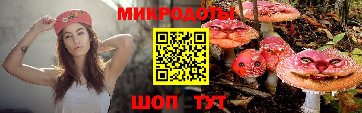 Галлюциногенные грибы Cubensis Коломна